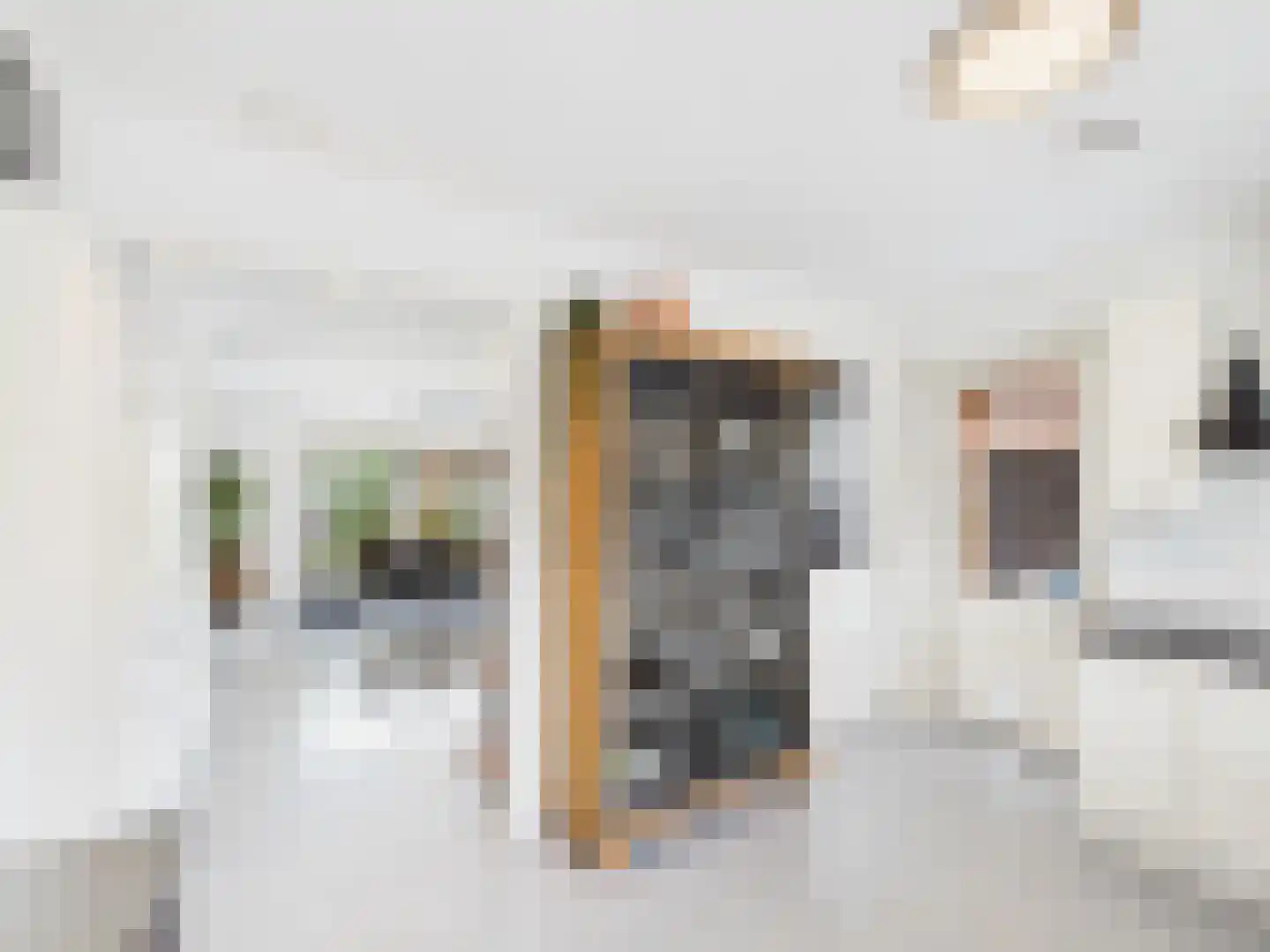 Windlustlaan 5 Hoek thumbnail 12