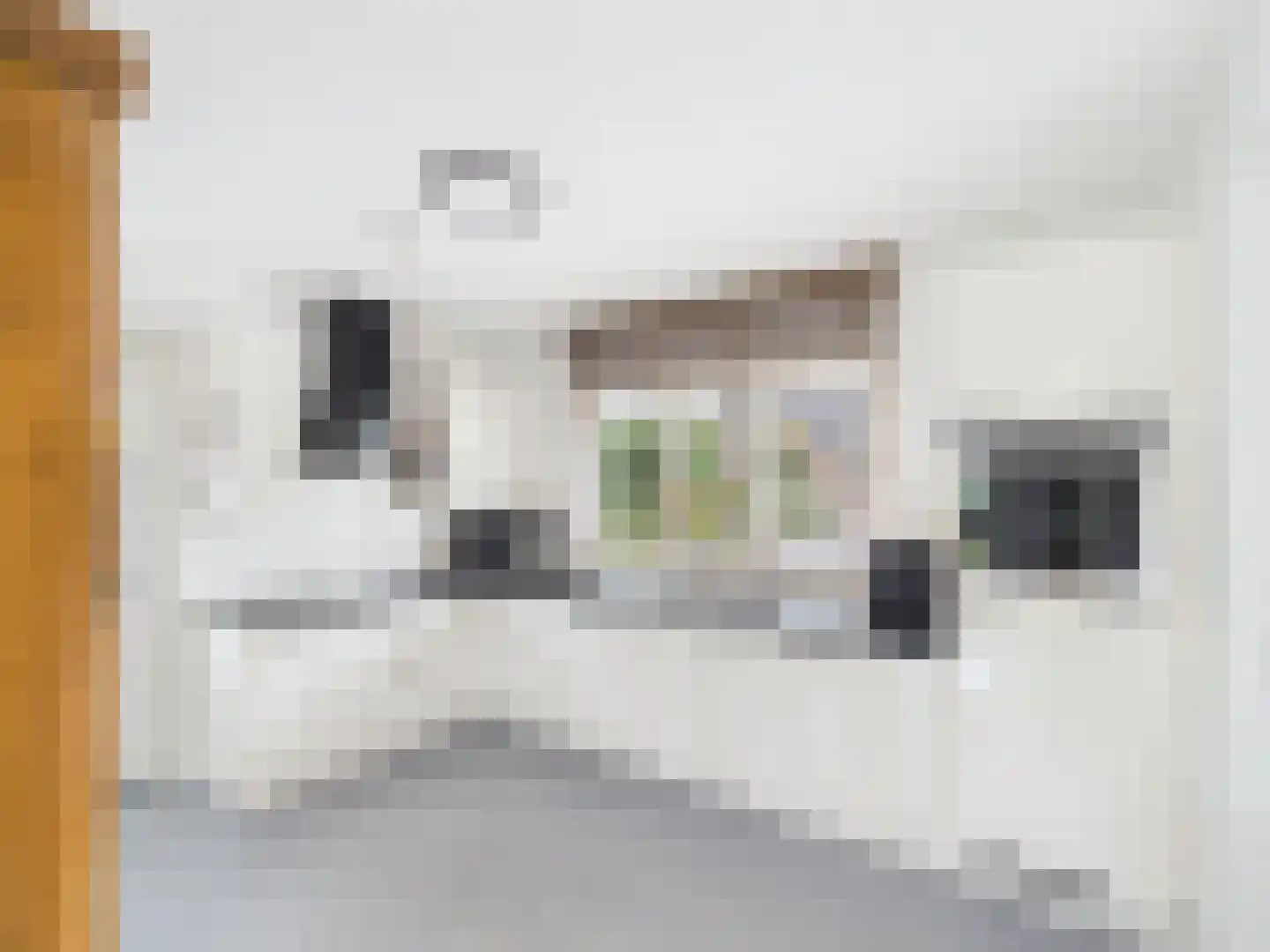 Windlustlaan 5 Hoek thumbnail 13