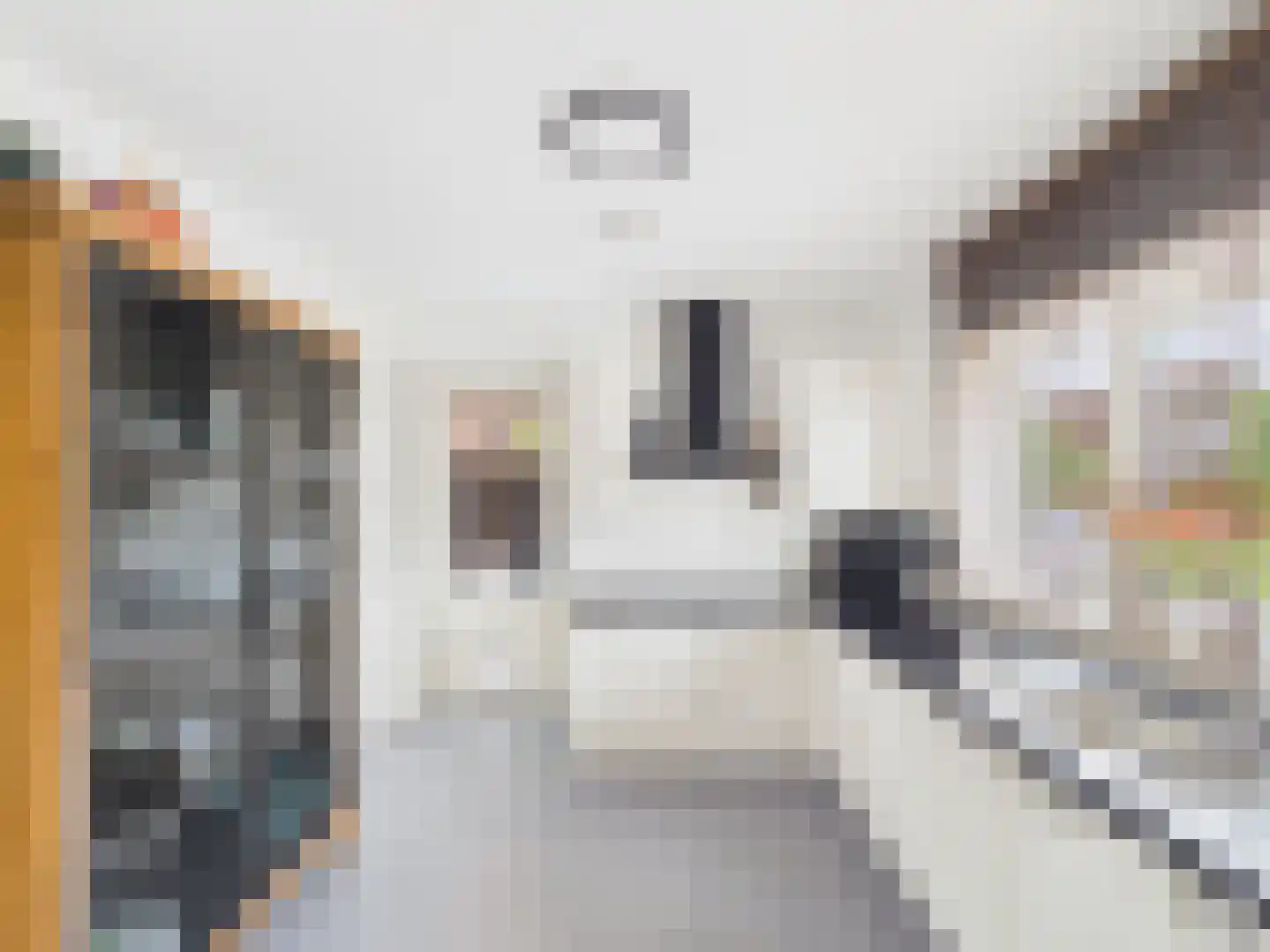Windlustlaan 5 Hoek thumbnail 14