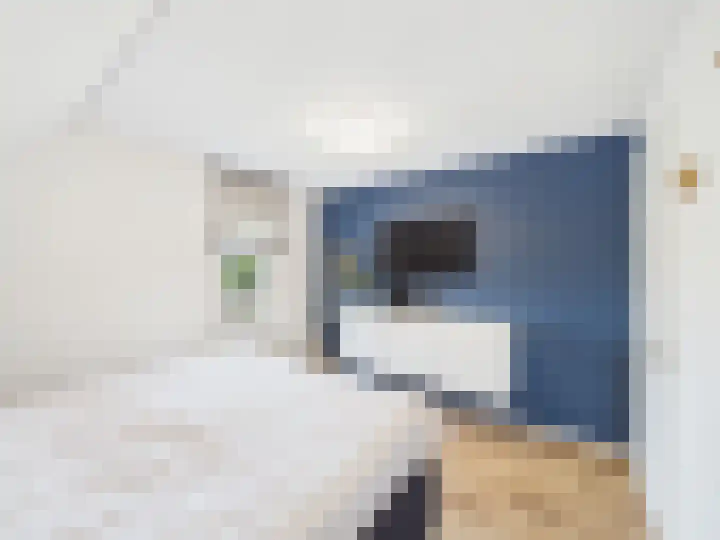 Windlustlaan 5 Hoek thumbnail 22