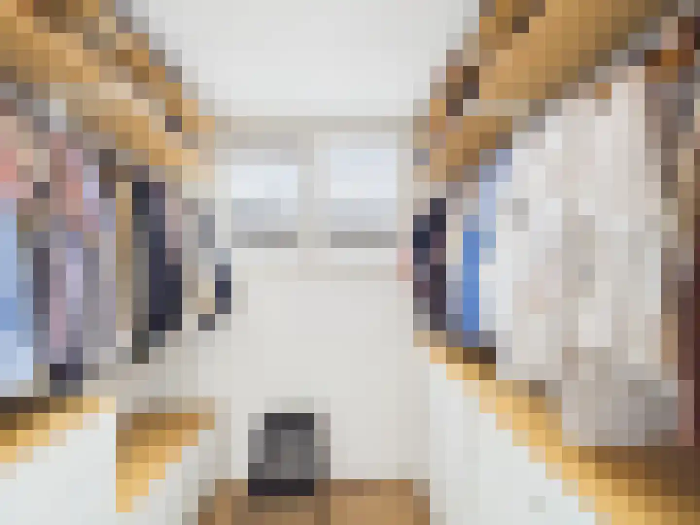 Windlustlaan 5 Hoek thumbnail 30