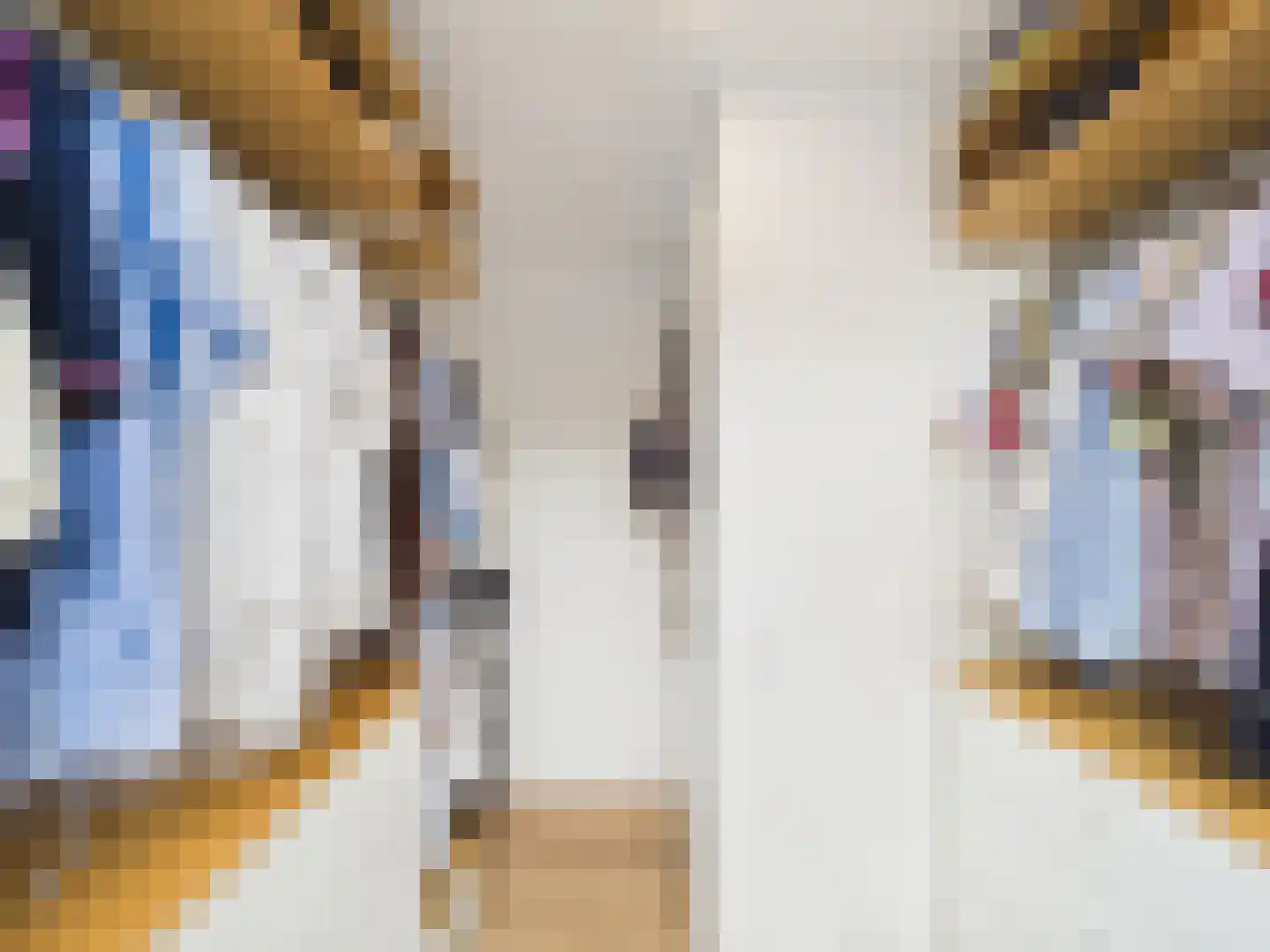 Windlustlaan 5 Hoek thumbnail 31