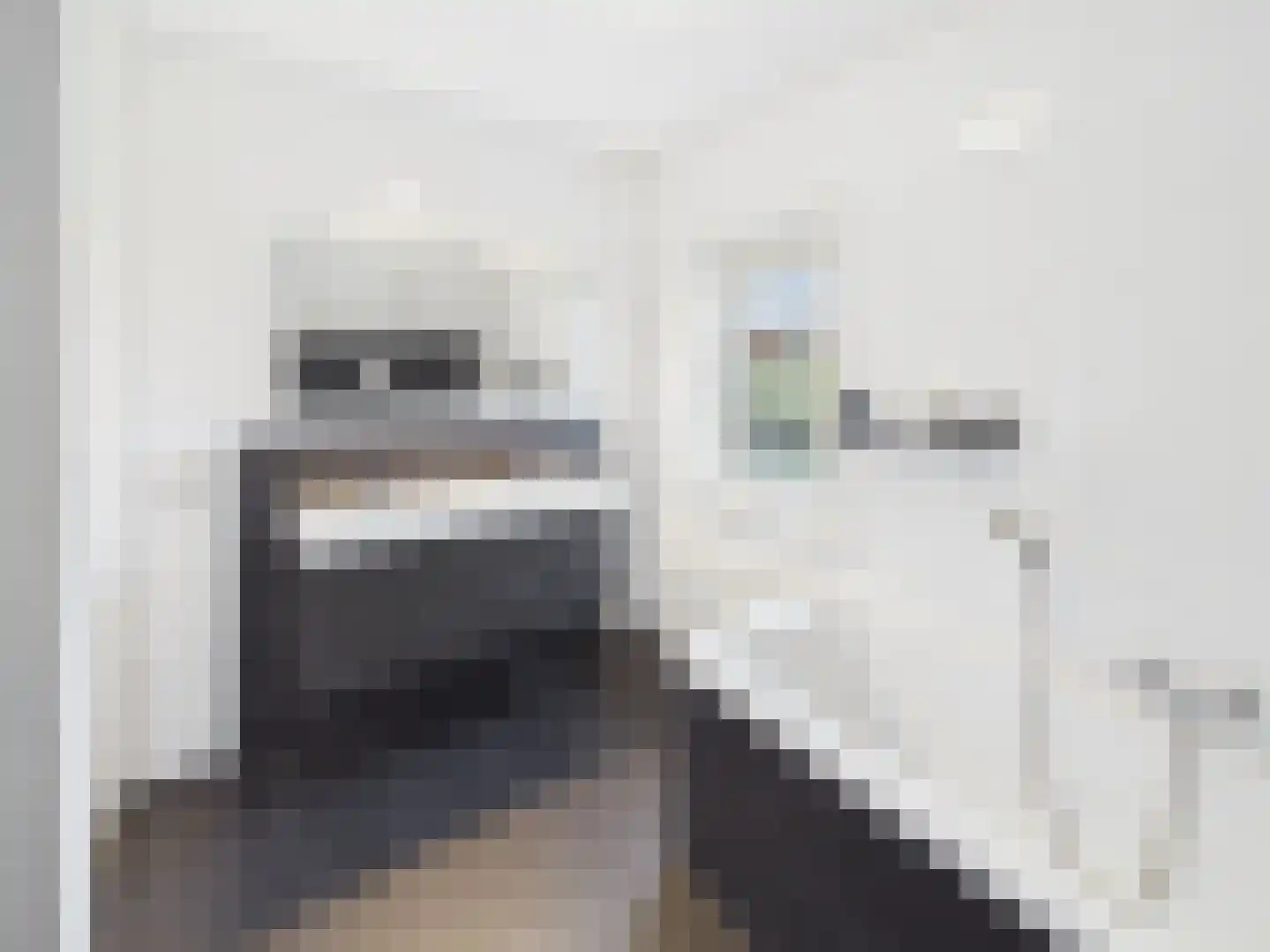 Windlustlaan 5 Hoek thumbnail 33