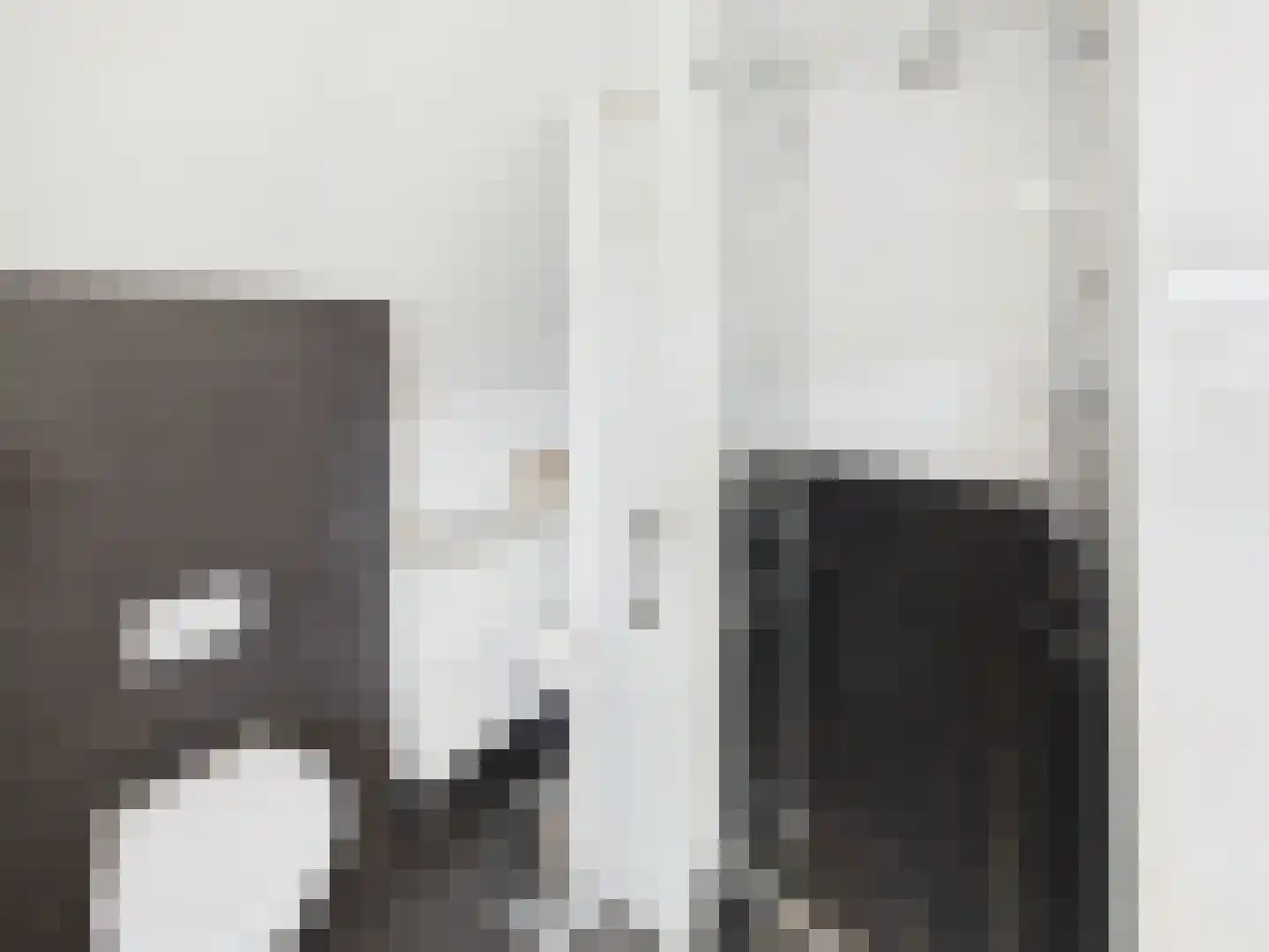 Windlustlaan 5 Hoek thumbnail 35