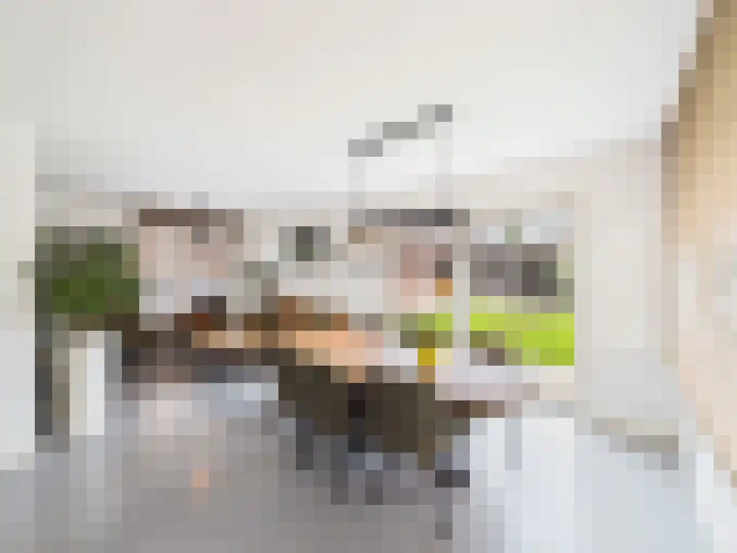 Windlustlaan 5 Hoek thumbnail 4
