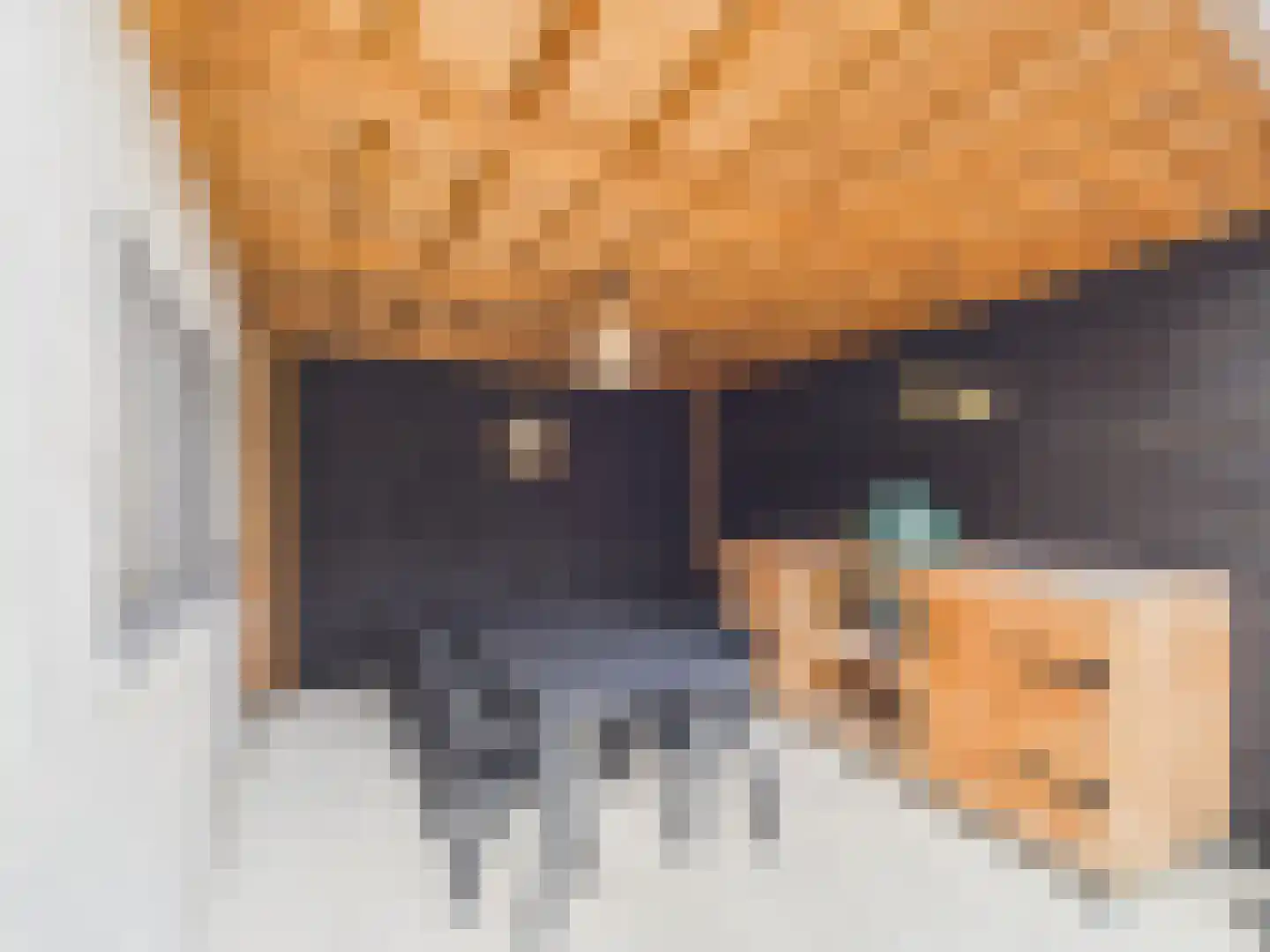 Windlustlaan 5 Hoek thumbnail 43