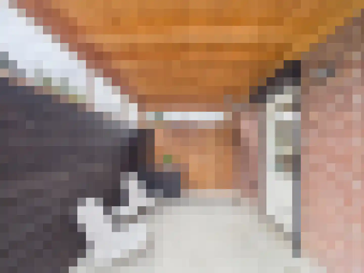 Windlustlaan 5 Hoek thumbnail 48
