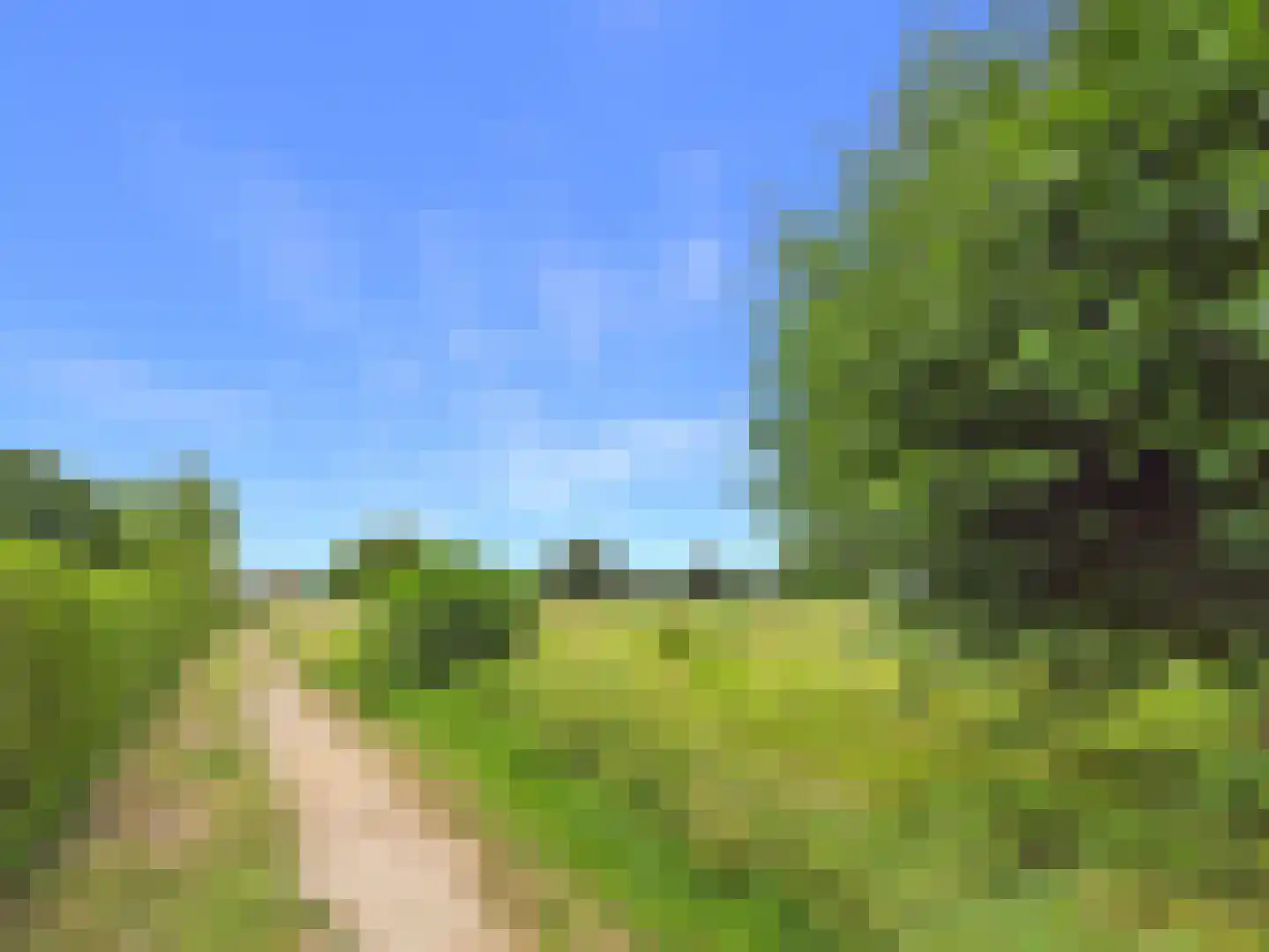 Windlustlaan 5 Hoek thumbnail 56