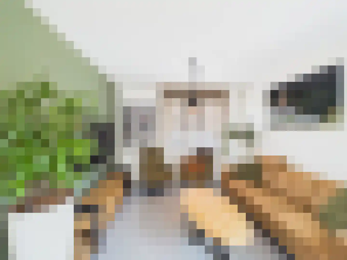 Windlustlaan 5 Hoek thumbnail 6