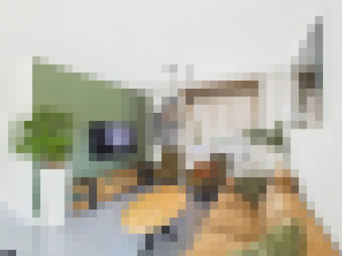 Windlustlaan 5 Hoek thumbnail 7