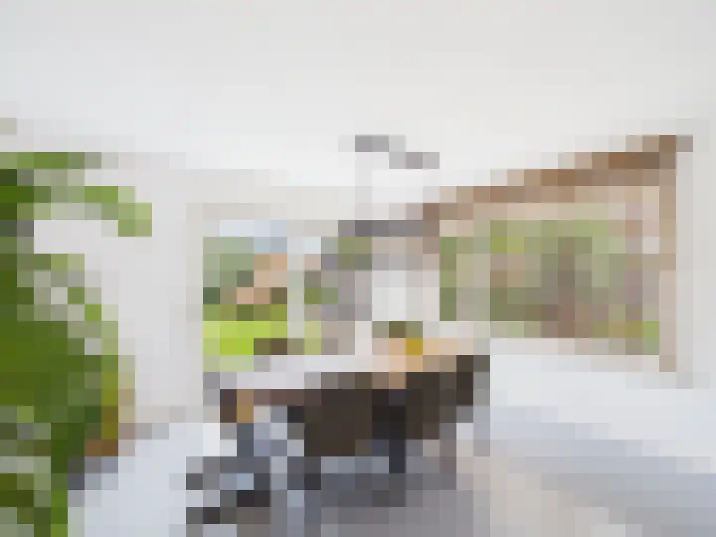 Windlustlaan 5 Hoek thumbnail 9