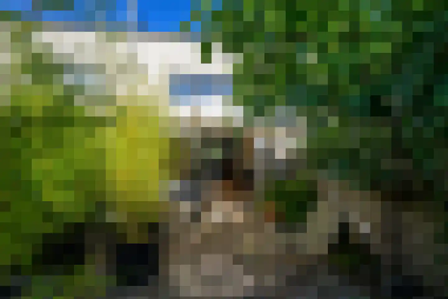 Windlustsingel 19 Leidschendam thumbnail 30