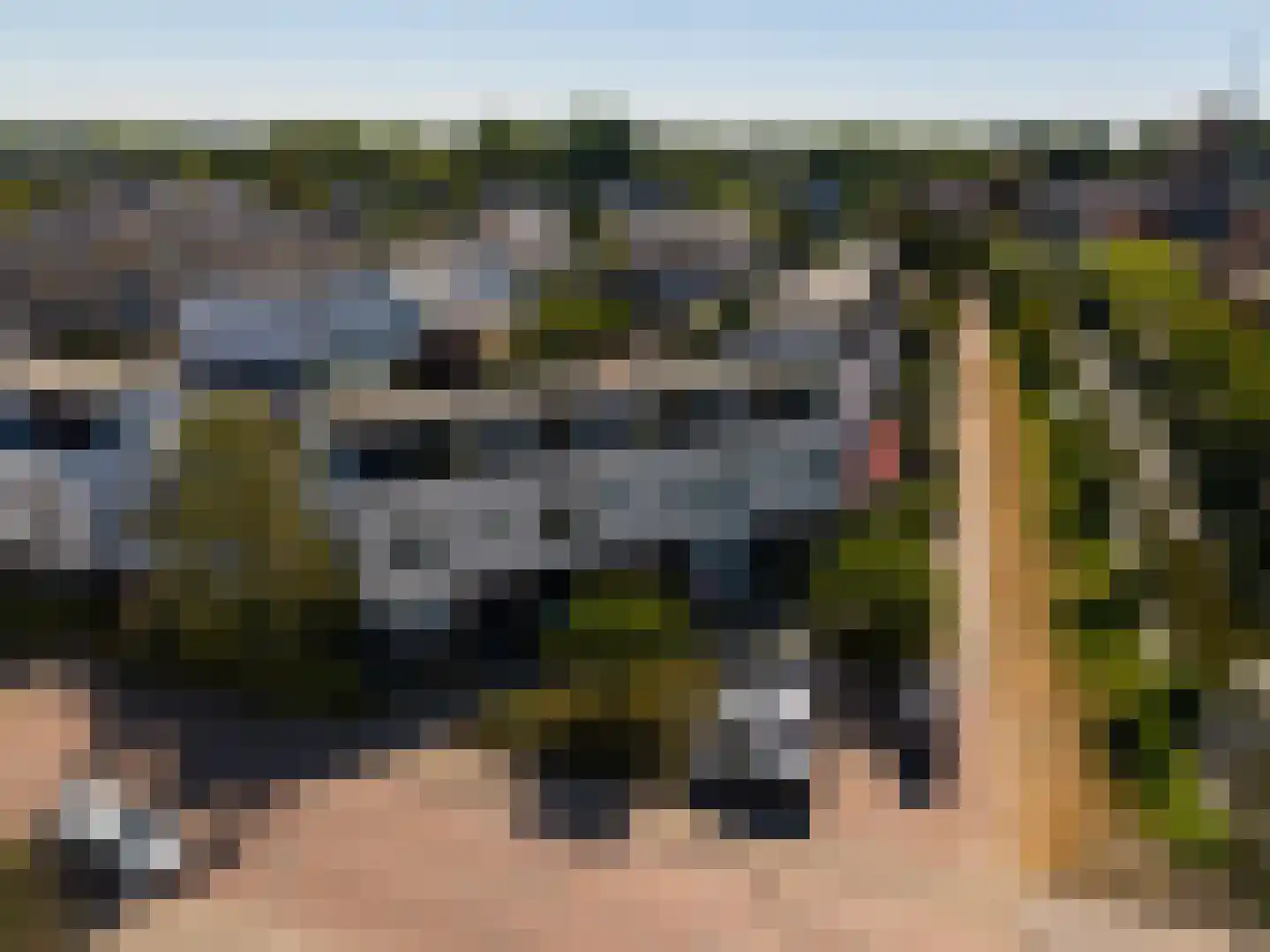 Windlustsingel 19 Leidschendam thumbnail 52
