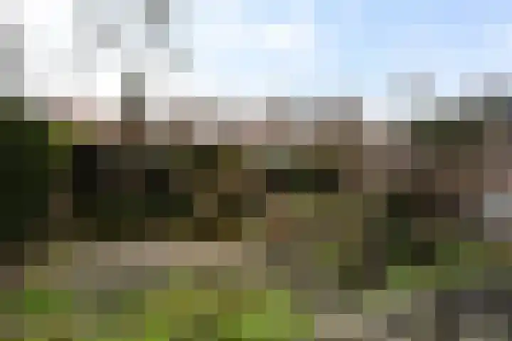Windlustweg 16 Wassenaar thumbnail 15