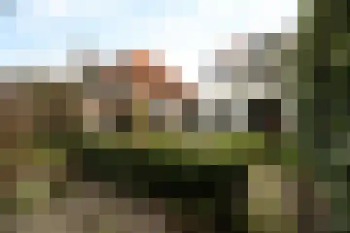 Windlustweg 16 Wassenaar thumbnail 16