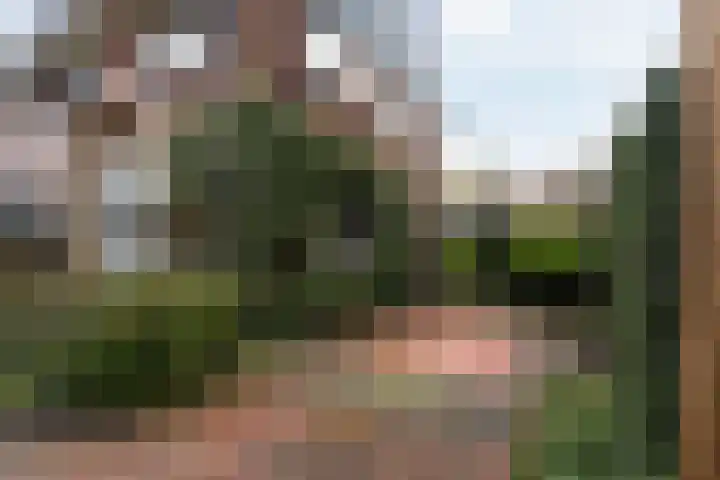 Windlustweg 16 Wassenaar thumbnail 5