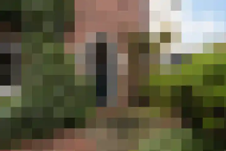 Windlustweg 16 Wassenaar thumbnail 6
