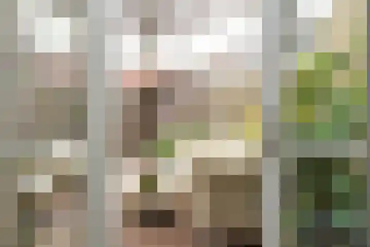 Windlustweg 3 Wassenaar thumbnail 24