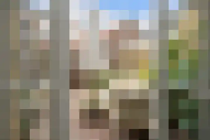 Windlustweg 3 Wassenaar thumbnail 25