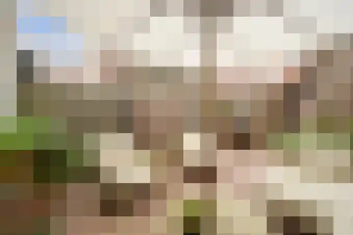 Windlustweg 3 Wassenaar thumbnail 26