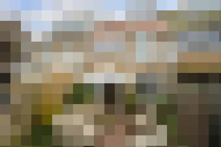 Windlustweg 3 Wassenaar thumbnail 28