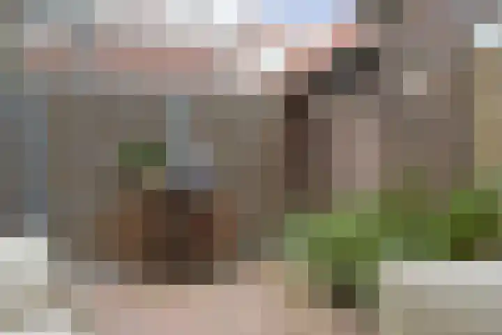 Windlustweg 3 Wassenaar thumbnail 31