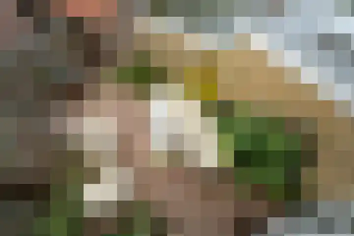 Windlustweg 3 Wassenaar thumbnail 39