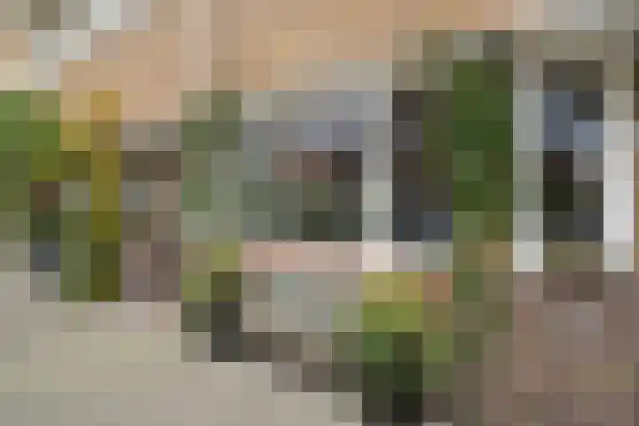 Windlustweg 3 Wassenaar thumbnail 4
