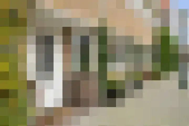 Windlustweg 3 Wassenaar thumbnail 5