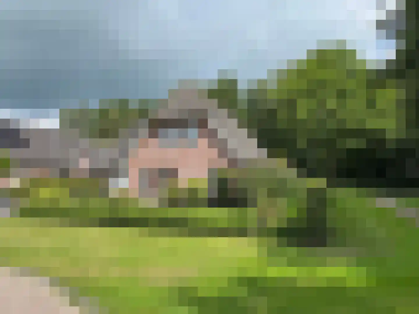 Windmolen 1 in Dalen