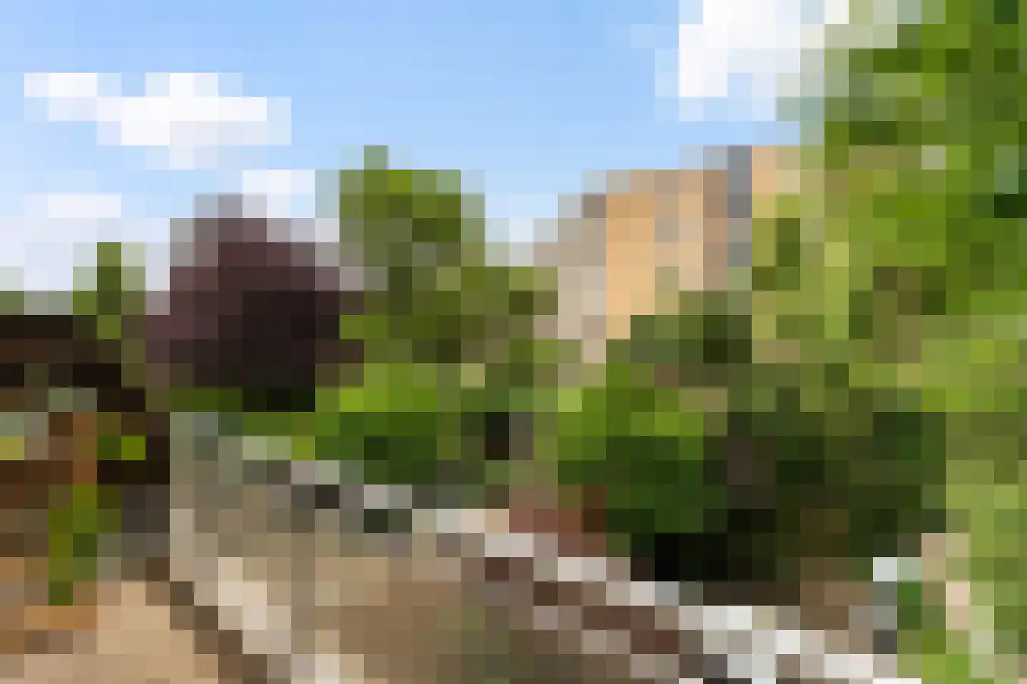 Windmolen 1 Capelle aan den IJssel thumbnail 26