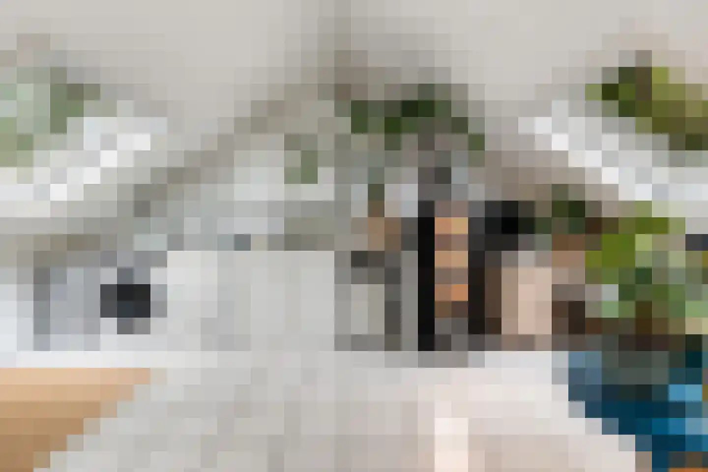 Windmolen 1 Capelle aan den IJssel thumbnail 38