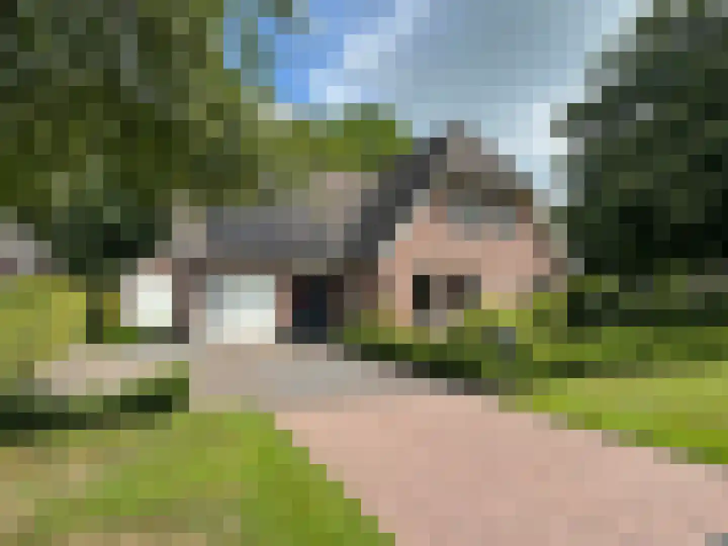Windmolen 1 Dalen