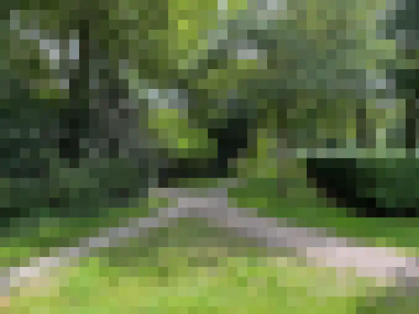 Windmolen 1 Dalen thumbnail 14