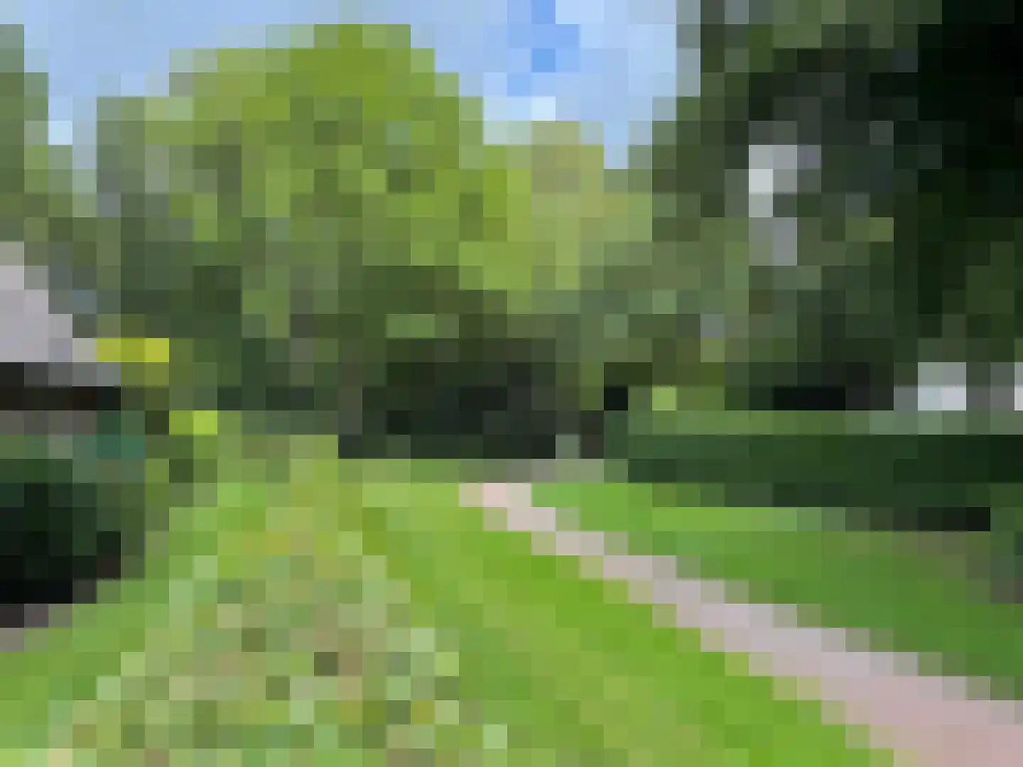 Windmolen 1 Dalen thumbnail 15