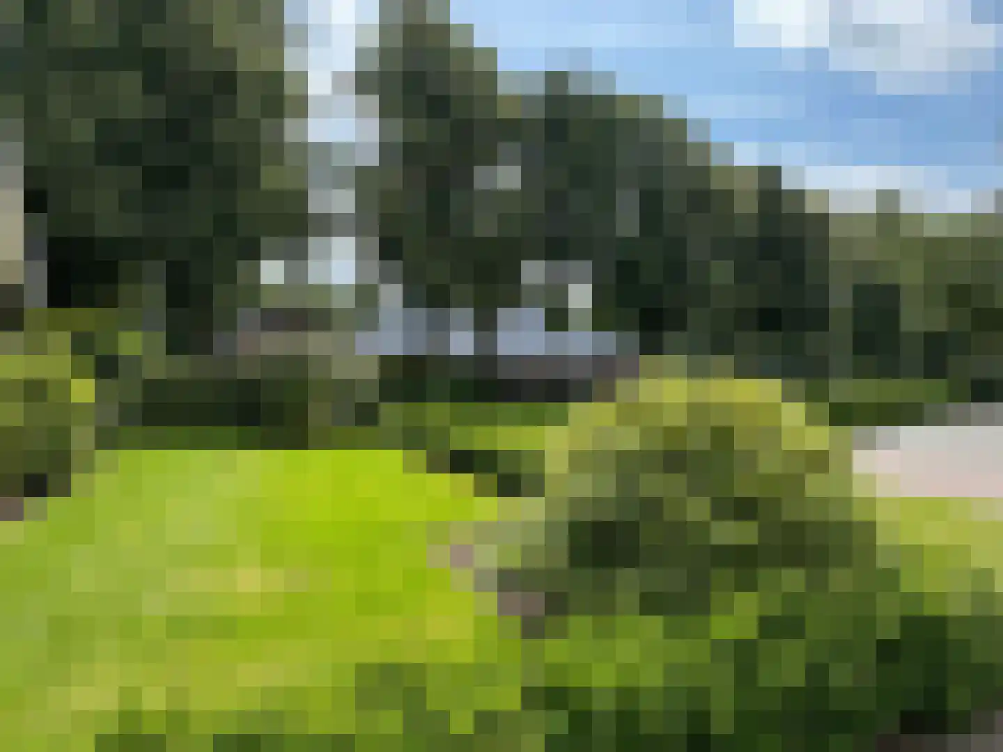 Windmolen 1 Dalen thumbnail 17
