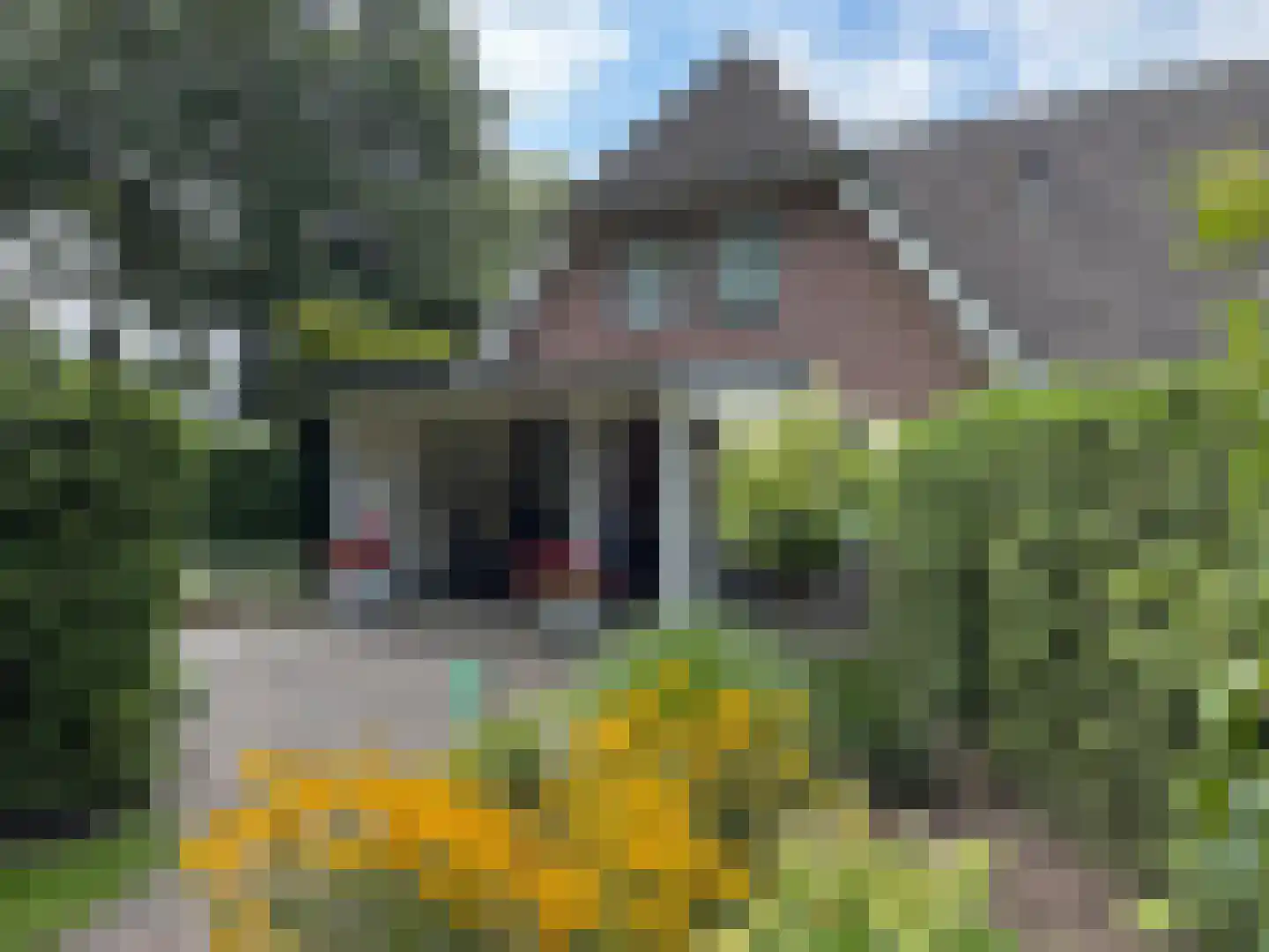 Windmolen 1 Dalen thumbnail 18