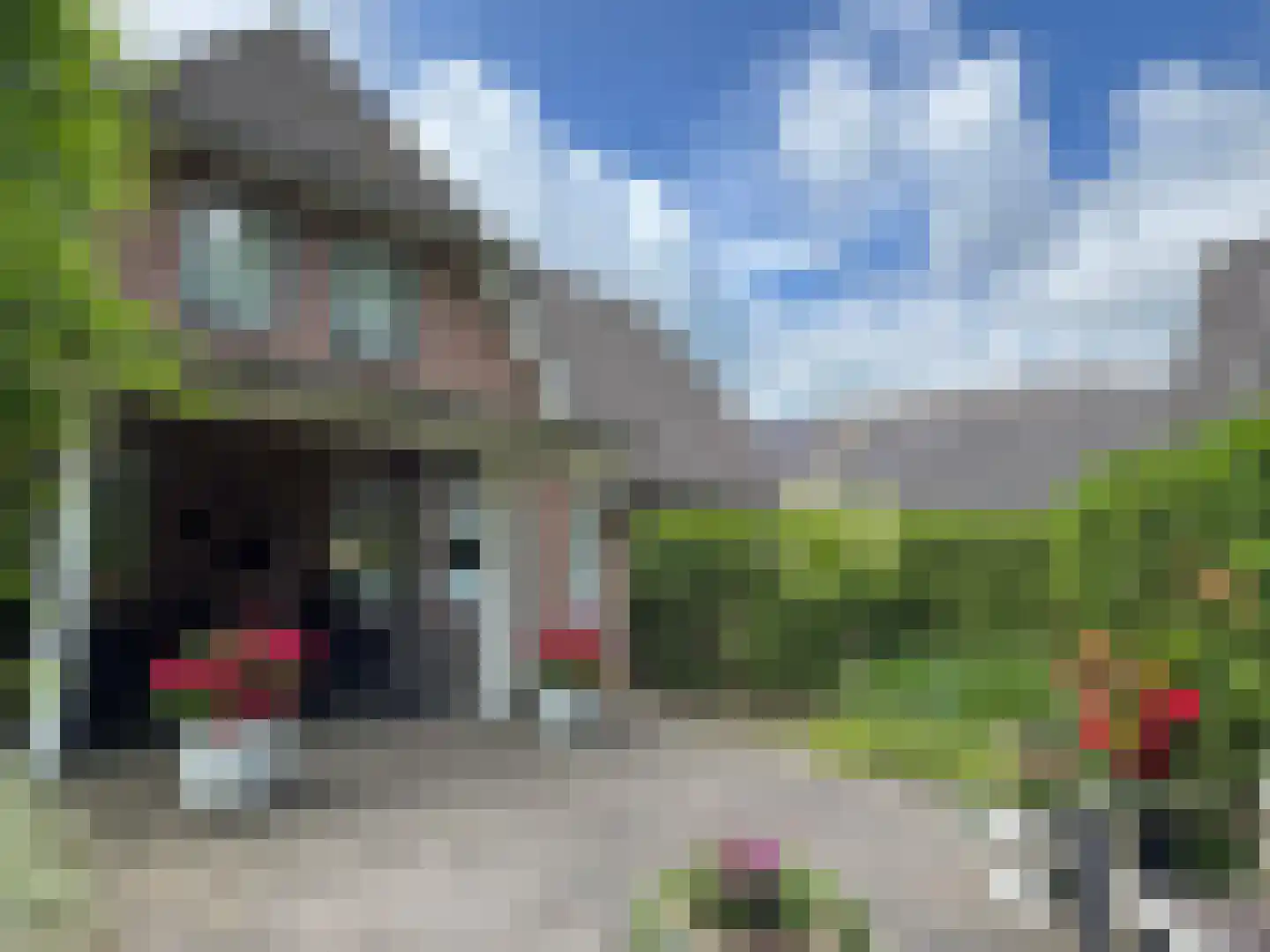 Windmolen 1 Dalen thumbnail 20