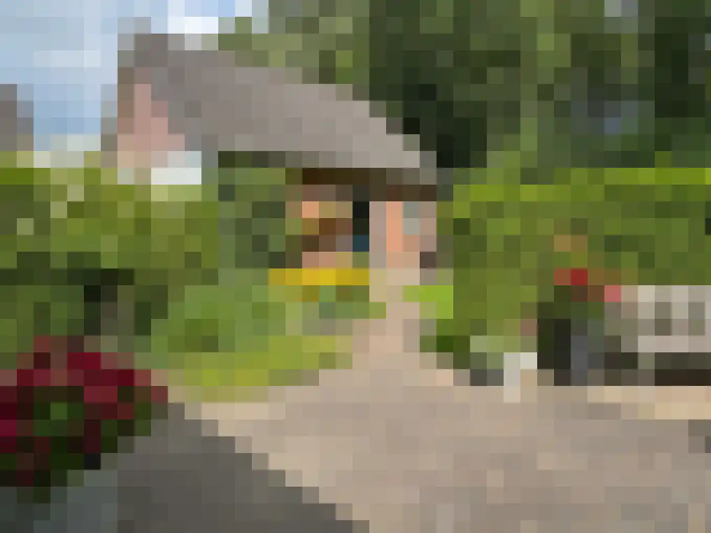 Windmolen 1 Dalen thumbnail 21