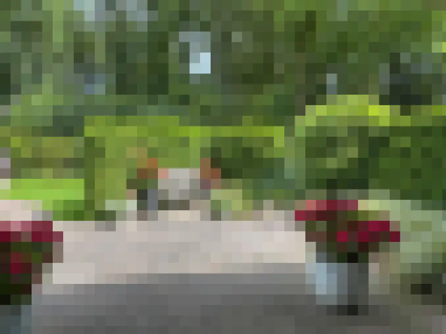 Windmolen 1 Dalen thumbnail 22