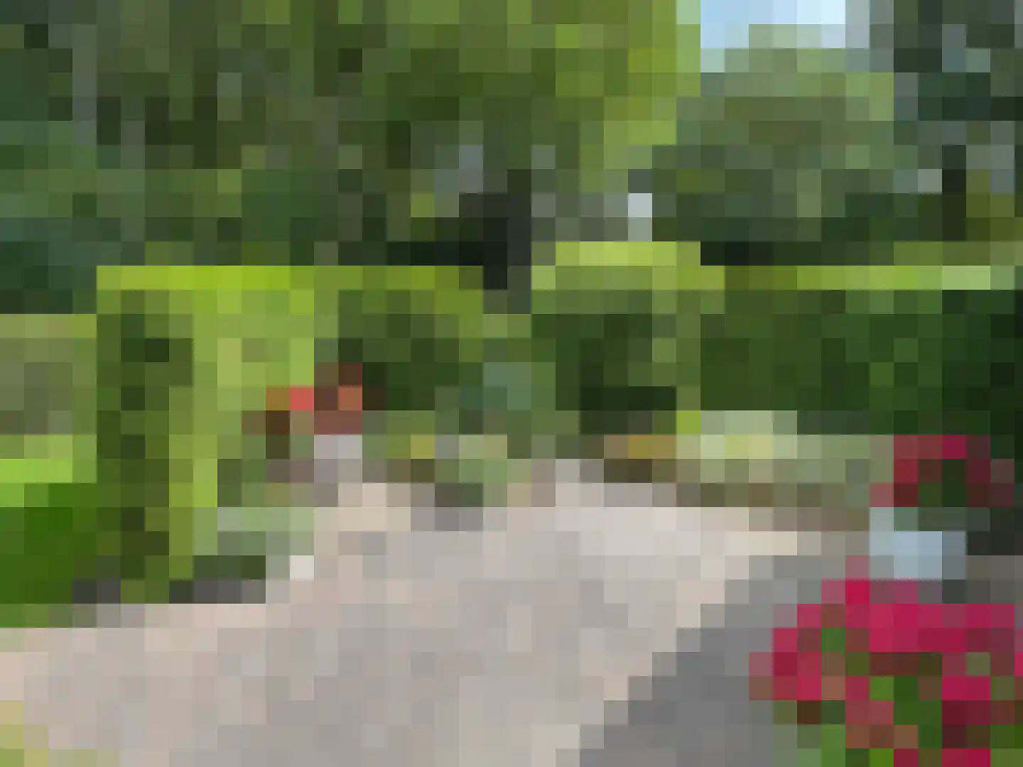 Windmolen 1 Dalen thumbnail 23