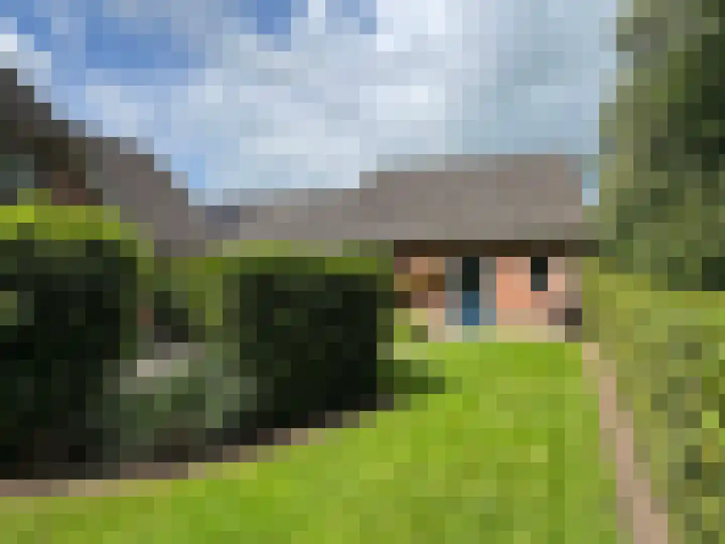 Windmolen 1 Dalen thumbnail 24