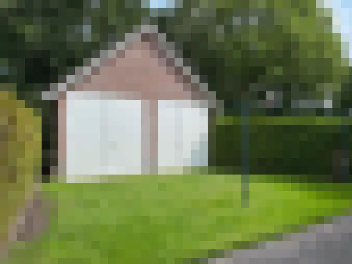 Windmolen 1 Dalen thumbnail 27