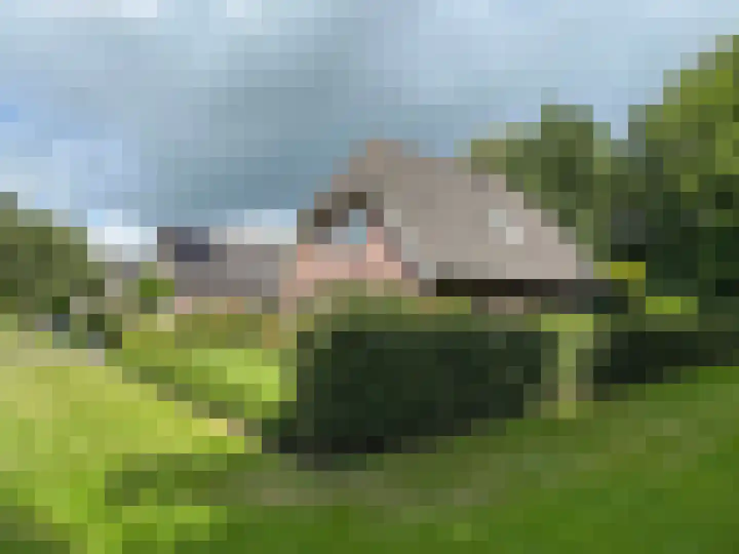 Windmolen 1 Dalen thumbnail 8