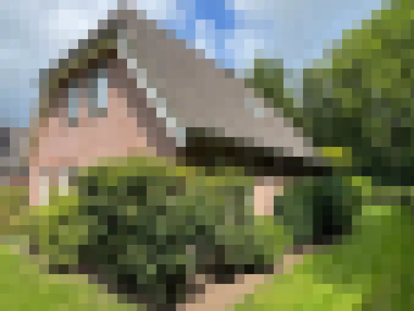 Windmolen 1 Dalen thumbnail 9