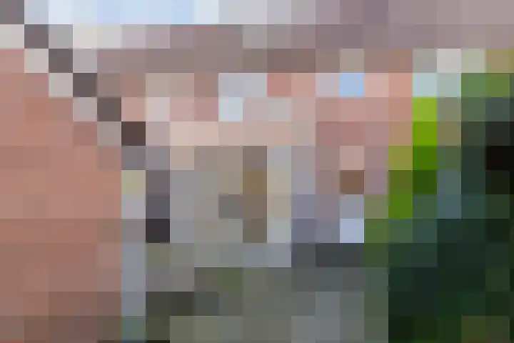 Windmolen 137 Wateringen thumbnail 18