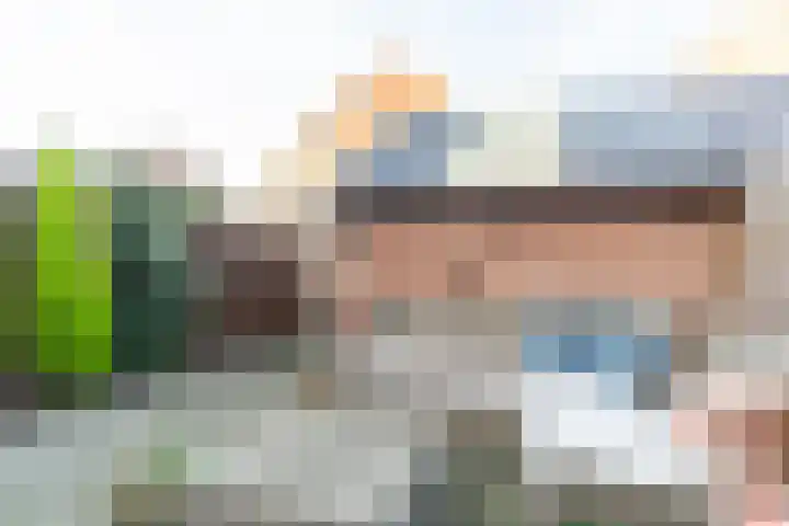 Windmolen 137 Wateringen thumbnail 19