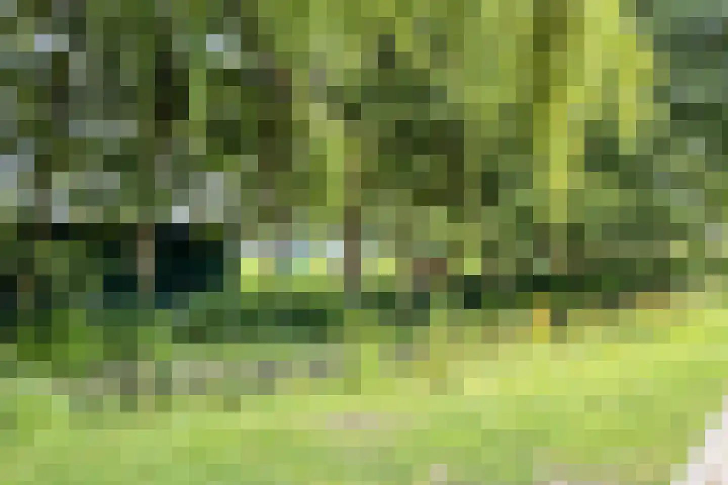 Windmolen 155 Wateringen thumbnail 33