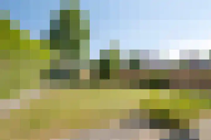 Windmolen 2 de Lutte thumbnail 19