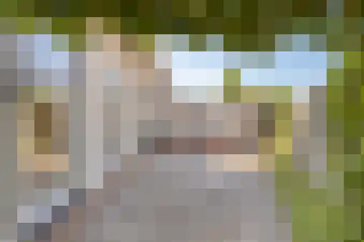 Windmolen 2 de Lutte thumbnail 20